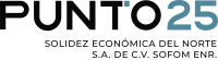Punto 25